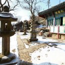 사자사지 이미지