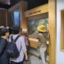 풀내음힐링캠프 | #진안힐링캠프 후기(2019.09)