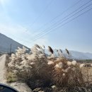 경주페러글라이딩 | 대구 근교 경주패러글라이딩 다녀온 후기! 가격,위치 정보