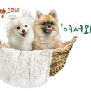 1989선우원 이미지