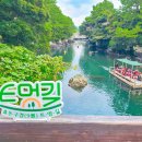 제주 쇠소깍 시간 전통조각배 테우 제주도 쇠소깍 제트보트