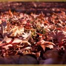 새들한의원 이미지