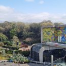 영어마을금손공인중개사사무소 이미지