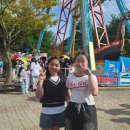 태권도장 채움 이미지