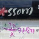 행복나무 이미지