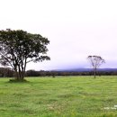 가나목장 이미지