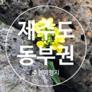 브이탑항공 이미지