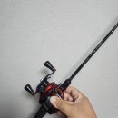목포쭈꾸미낚시 목화낚시