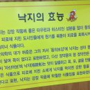 착한낙지홍도점 이미지