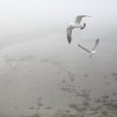 해이 민박 이미지