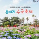 온실러쉬 | 6월 제주도 가볼 만한 곳 여행 코스 온 세상을 보랏빛으로 휴애리 수국축제