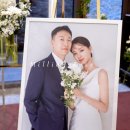 밀리언 로즈 가든 이미지