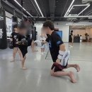 강일체육관 이미지