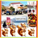 예산 덕산온천 근처 도토리 요리 건강해지는 맛집[도토리와 다람쥐]