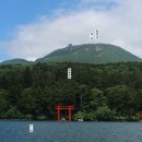 신사, 쿠즈류(구두룡) 신사, 용신수사, Baby Wishing Tree, 야다테 삼나무, 평화의 토리이 등등)&#39; 후기
