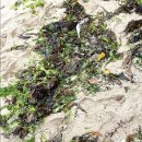 앤츠펜션 이미지