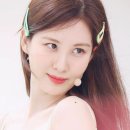 위엘르헤어 이미지