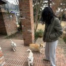 작은마을, 작은숲 이미지