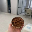 GS25 광진구의점 이미지