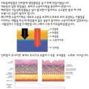 월드비즈인셀덤