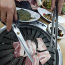 대박날새