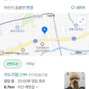 가드기멍 이미지