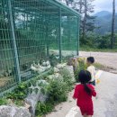 숲사이길펜션 이미지