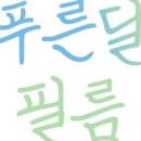 [웨딩] 본식DVD 푸른달필름 계약후기(+짝꿍할인)