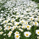 한누리농장 이미지