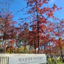 천주교청파동교회 | 12월 서울 실내 가볼만한곳 서소문성지 역사박물관