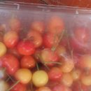 입천리 지저 이미지