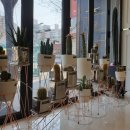 마틴PC카페 이미지