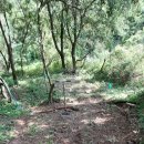 현동농장 이미지