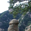 꼼짝마라 교육