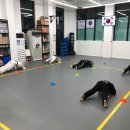 장지합기도 강류관 이미지