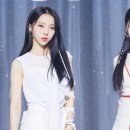 비비정지 이미지