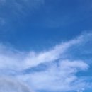 멍!구름 이미지