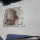 노블레스 세탁소 이미지