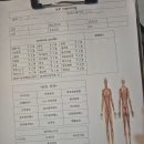 [서울/영등포] 보라매 PT 재활 케이피 트레이닝 체험 후기