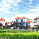 이솔라 식당 이미지