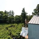 제주도작은집 작은별 이미지