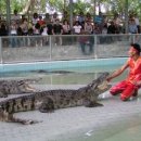 석식농장 이미지