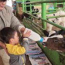 풀잎목장 이미지