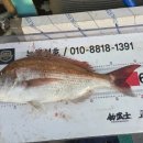 복성호
