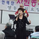 영동제일요양병원 Daum카페