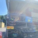 금오도 비렁길 | [여수 가볼만한 곳] 여수 금오도 비렁길 1코스 후기