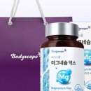 바디스콥 이미지