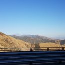 팜스프링 이미지