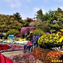 대구수목원 이미지