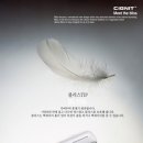 시그닛코리아안양